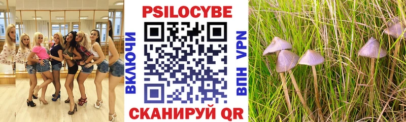 закладки  Орлов  Псилоцибиновые грибы Cubensis 